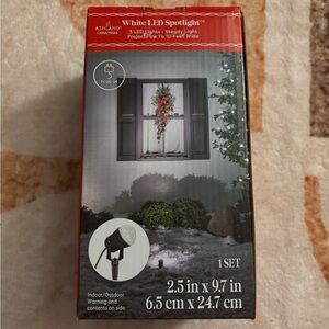 Ashland LED Spotlight with White Light